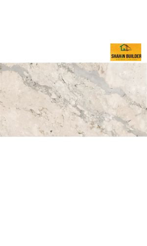 30X60 cm Glossy Wall Tiles 6024 DBE