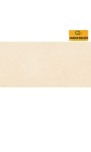 30X60 cm Porcelain Wall Tiles 9-RP -06-BE