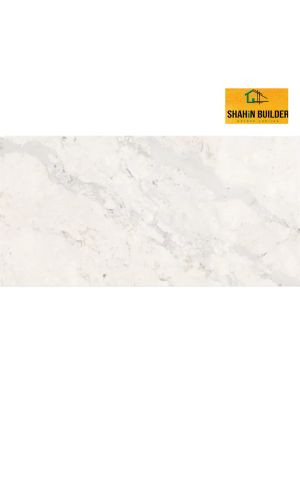 30X60 cm Glossy Wall Tiles 6024 LBE