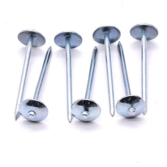 Iron cap nail 2 inch(লোহার টুপি পেরেক 2 ইঞ্চি)